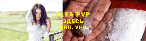шишки Алзамай