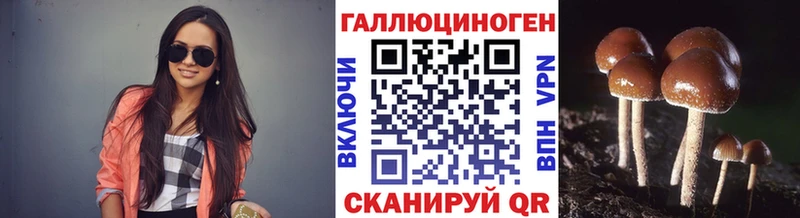 купить наркоту  Новосиль  Псилоцибиновые грибы мухоморы 